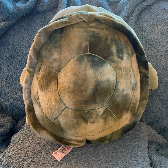 squishmallow tortoise